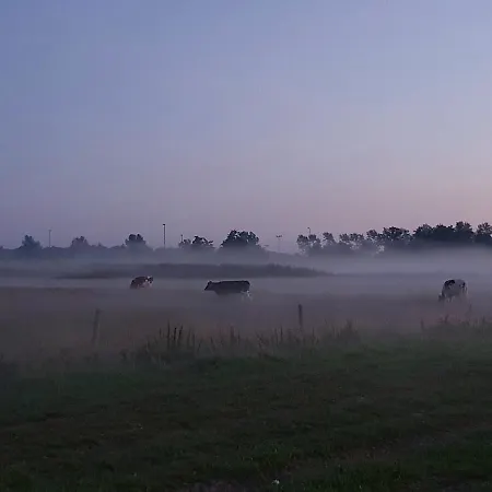 Casa Allegria - Zuiderbosch Prázdninový dům *