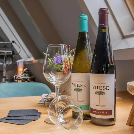 Prázdninový dům Casa Allegria - Zuiderbosch