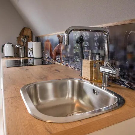 Casa Allegria - Zuiderbosch *