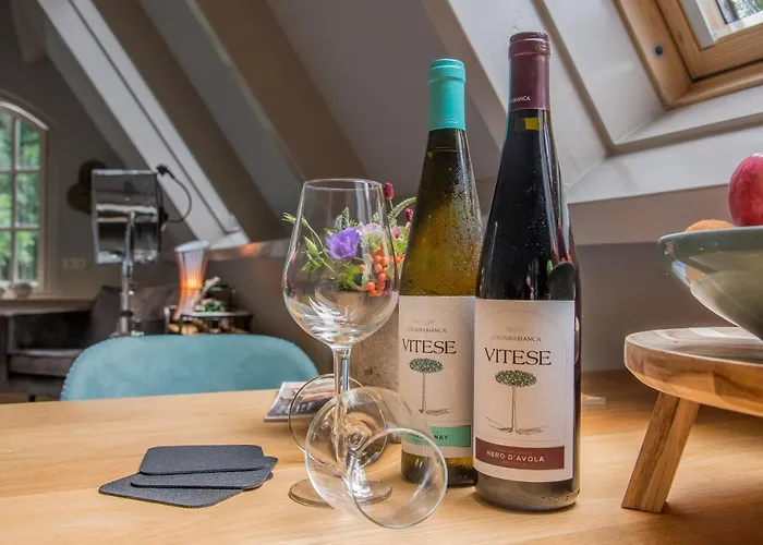 Сasa de vacaciones Casa Allegria - Zuiderbosch