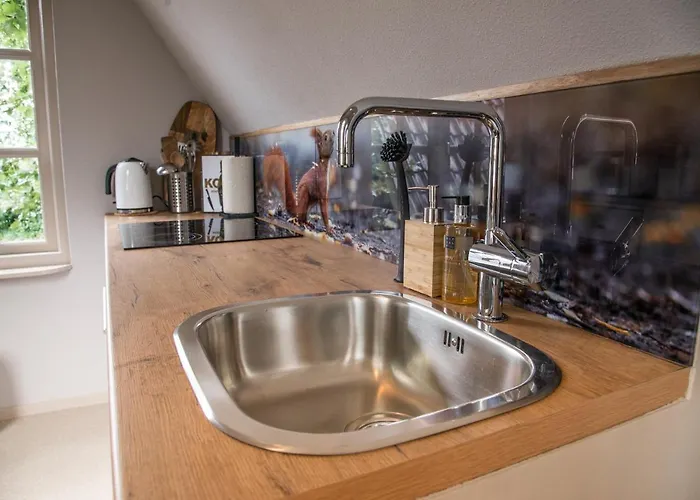 Casa Allegria - Zuiderbosch *