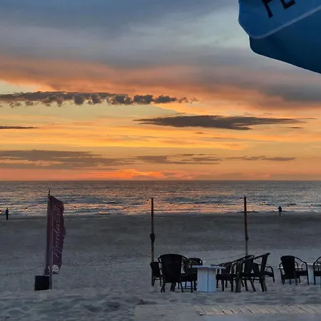 Casa Allegria - Zuiderbosch * Bergen