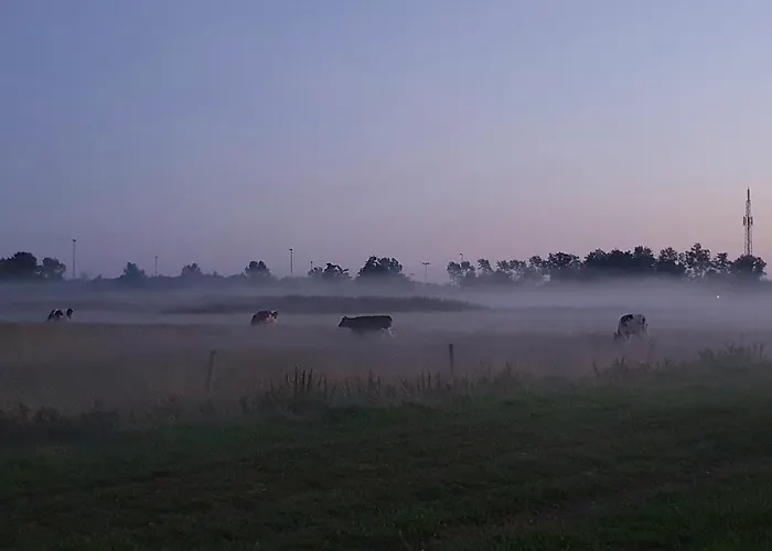 Casa Allegria - Zuiderbosch Сasa de vacaciones *