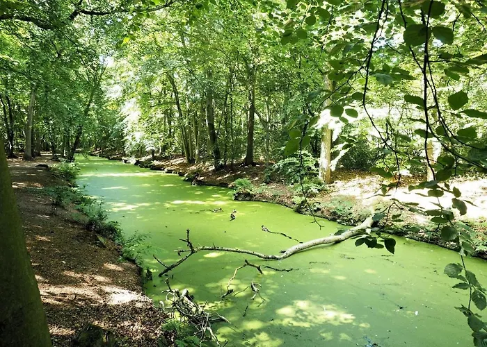 Casa Allegria - Zuiderbosch Сasa de vacaciones *