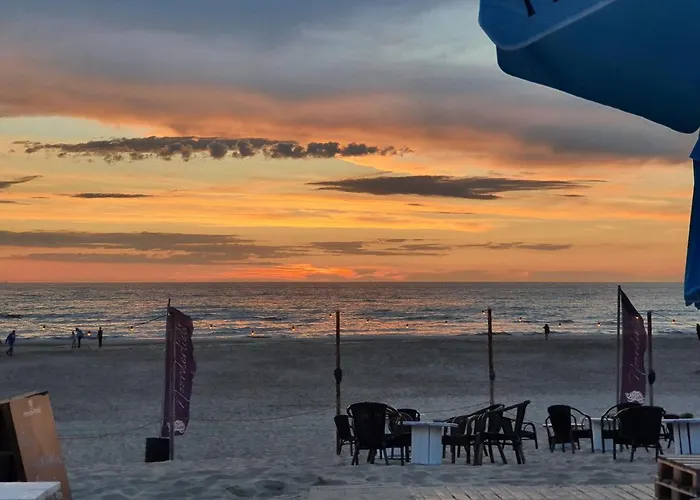 Casa Allegria - Zuiderbosch * Bergen